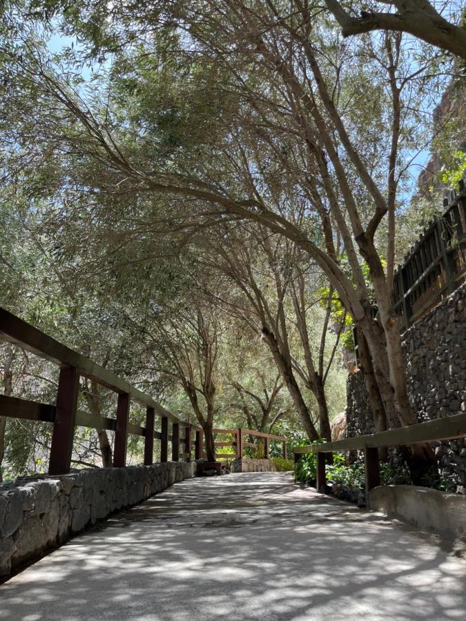 Casa Rural Guayadeque Ca'Juani Ingenio Luaran gambar